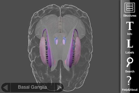 best brain app best brain app