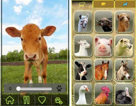 AniWorld Animals Fun